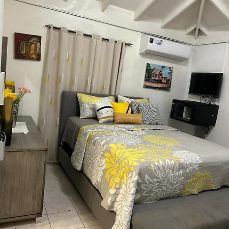 Beautiful Vacation Home Ocho Rios Exteriér fotografie
